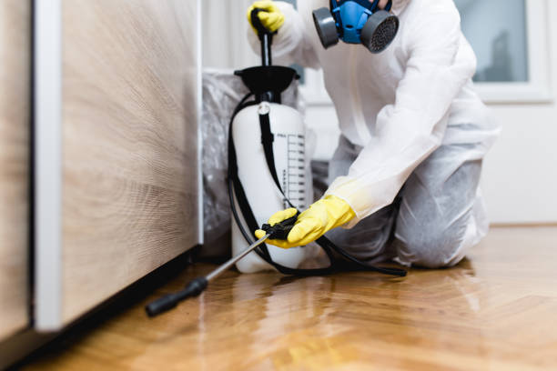 Best Best Pest Control Companies  in Howell, MI