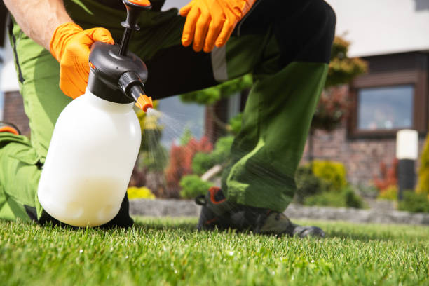 Best Affordable Exterminators  in Howell, MI