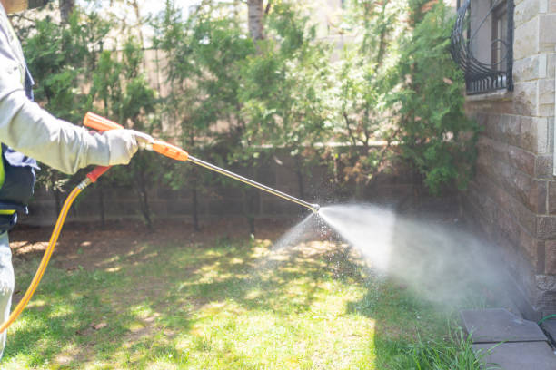 Spider Control Near Me in Howell, MI
