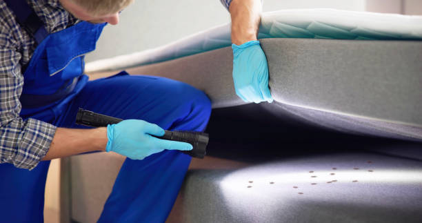 Best Flea Control Services  in Howell, MI