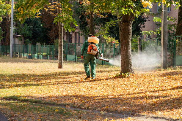 Best Residential Pest Control  in Howell, MI