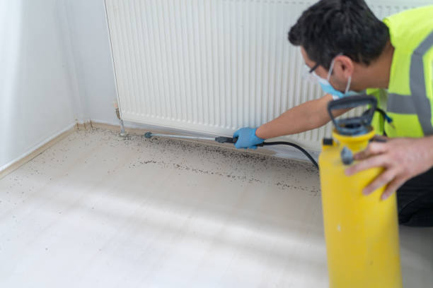 Reliable Howell, MI Pest Control Solutions