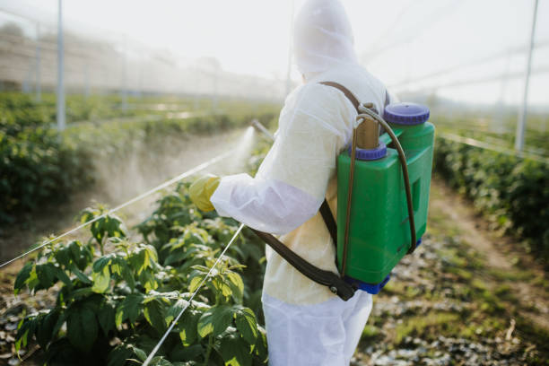 Best Affordable Pest Control Services  in Howell, MI